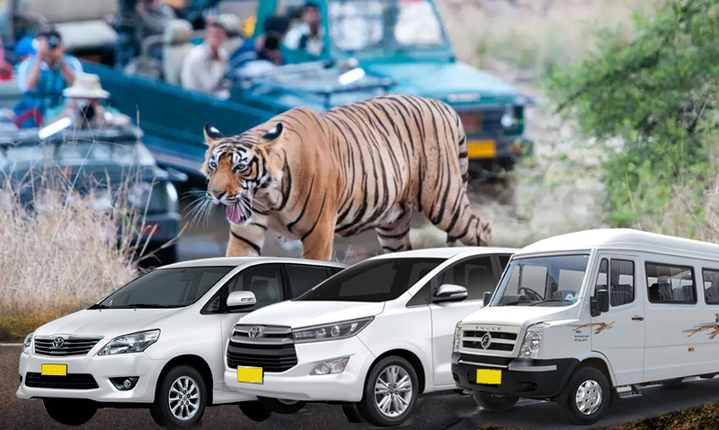 Taxi Service Jaipur To Ranthambore