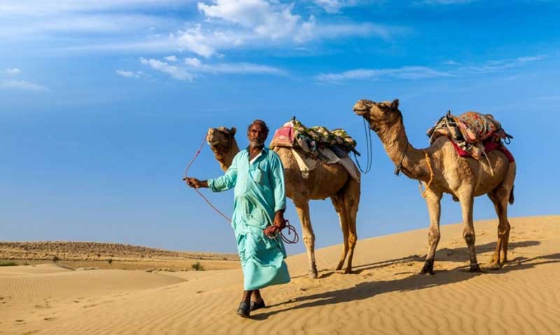 Jaipur Shekhawati Bikaner Jaisalmer Jodhpur Pushkar Jaipur Taxi Tour