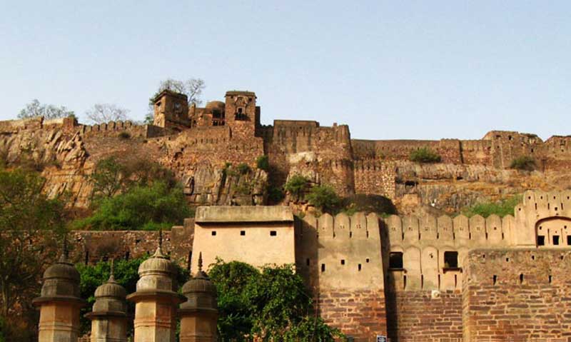 Jaipur Ranthambore One Day Tour Package